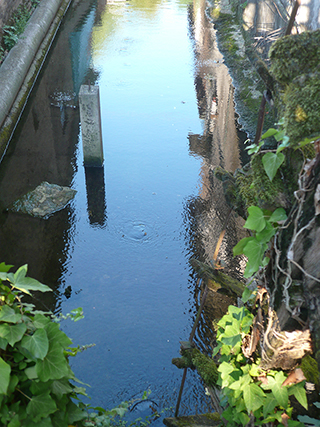 Progetto per finanziamento regionale L.R.13/99 – Percorso naturalistico del Fiume Lia – Comuni di Cimadolmo, Ormelle, San Polo di Piave e Oderzo (Tv).