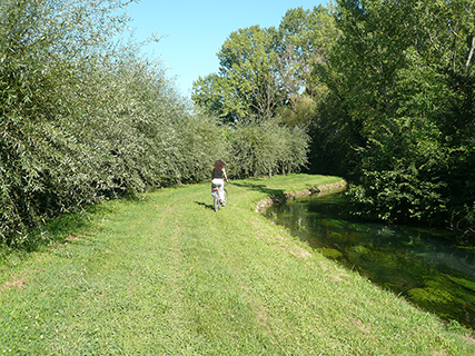 Progetto per finanziamento regionale L.R.13/99 – Percorso naturalistico del Fiume Lia – Comuni di Cimadolmo, Ormelle, San Polo di Piave e Oderzo (Tv).