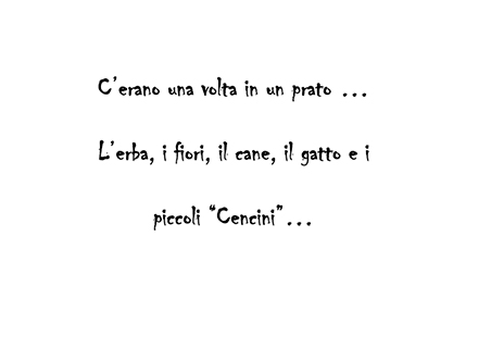 Studio di fattibilità di un nuovo Asilo Nido a Cencenighe nel Comune di Falcade (Bl).