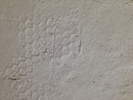 Progettazione e realizzazione di una parete con finitura in terra cruda con intrusioni e pattern superficiali in un’abitazione.