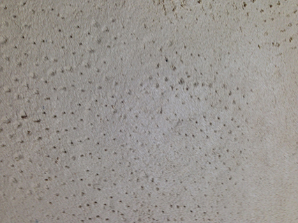 Progettazione e realizzazione di una parete con finitura in terra cruda con intrusioni e pattern superficiali in un’abitazione.