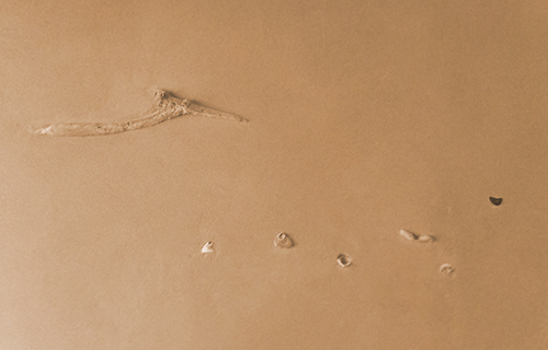 Progettazione e realizzazione di una parete con finitura in terra cruda con intrusioni e pattern superficiali in un’abitazione