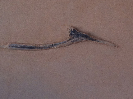 Progettazione e realizzazione di una parete con finitura in terra cruda con intrusioni e pattern superficiali in un’abitazione
