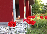 Pippi’s Home