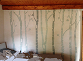 Il bosco di Betulle
