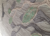Albero di Terra